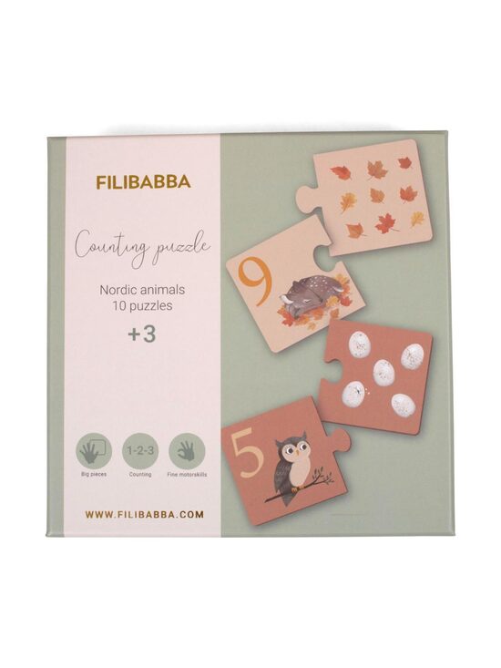 Filibabba Counting Puzzle