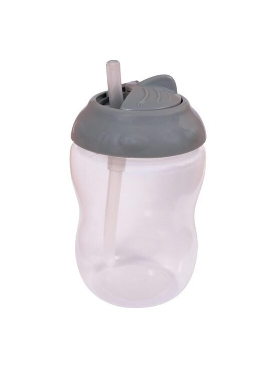 Filibabba Drinking Bottle with Straw